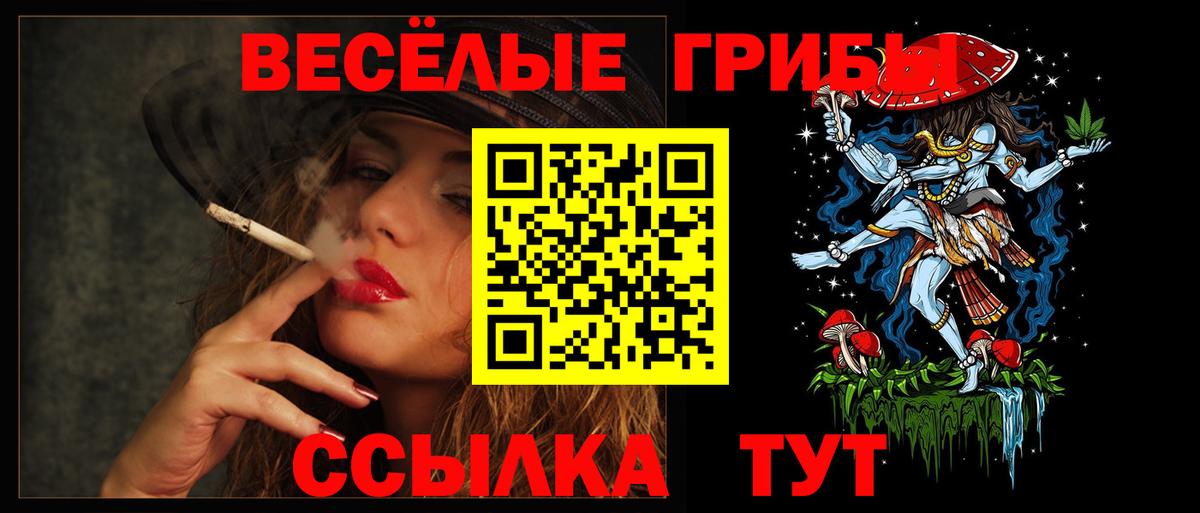 Псилоцибиновые грибы MAGIC MUSHROOMS Северобайкальск