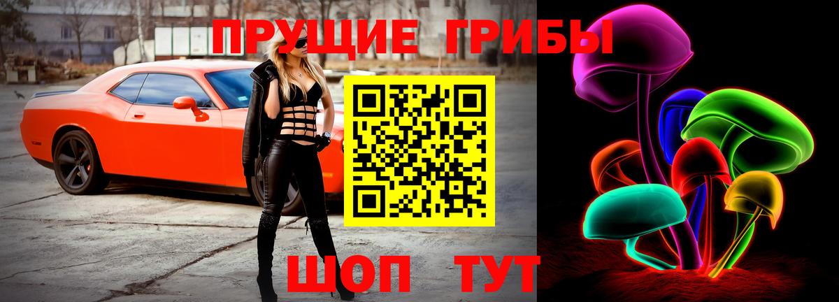 Северобайкальск  Псилоцибиновые грибы Psilocybine cubensis  Вход с VPN  Псилоцибиновые грибы Magic Shrooms 
